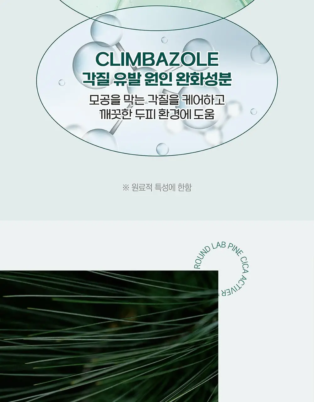 [탈모완화] 라운드랩 소나무 진정 시카 샴푸 400ml 상세페이지 12